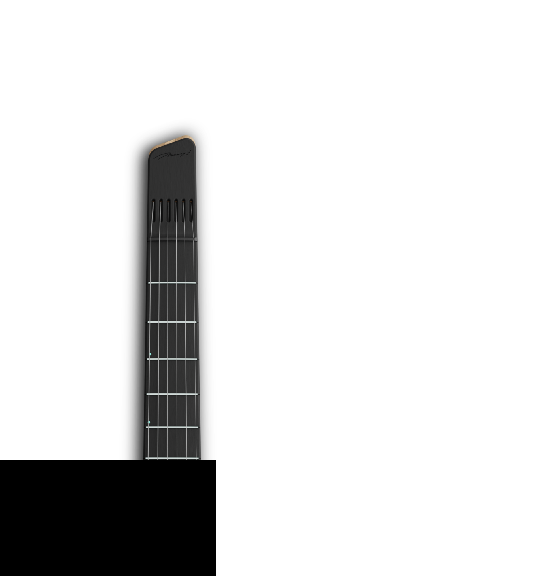 Denny's Guitars MK2 Series
