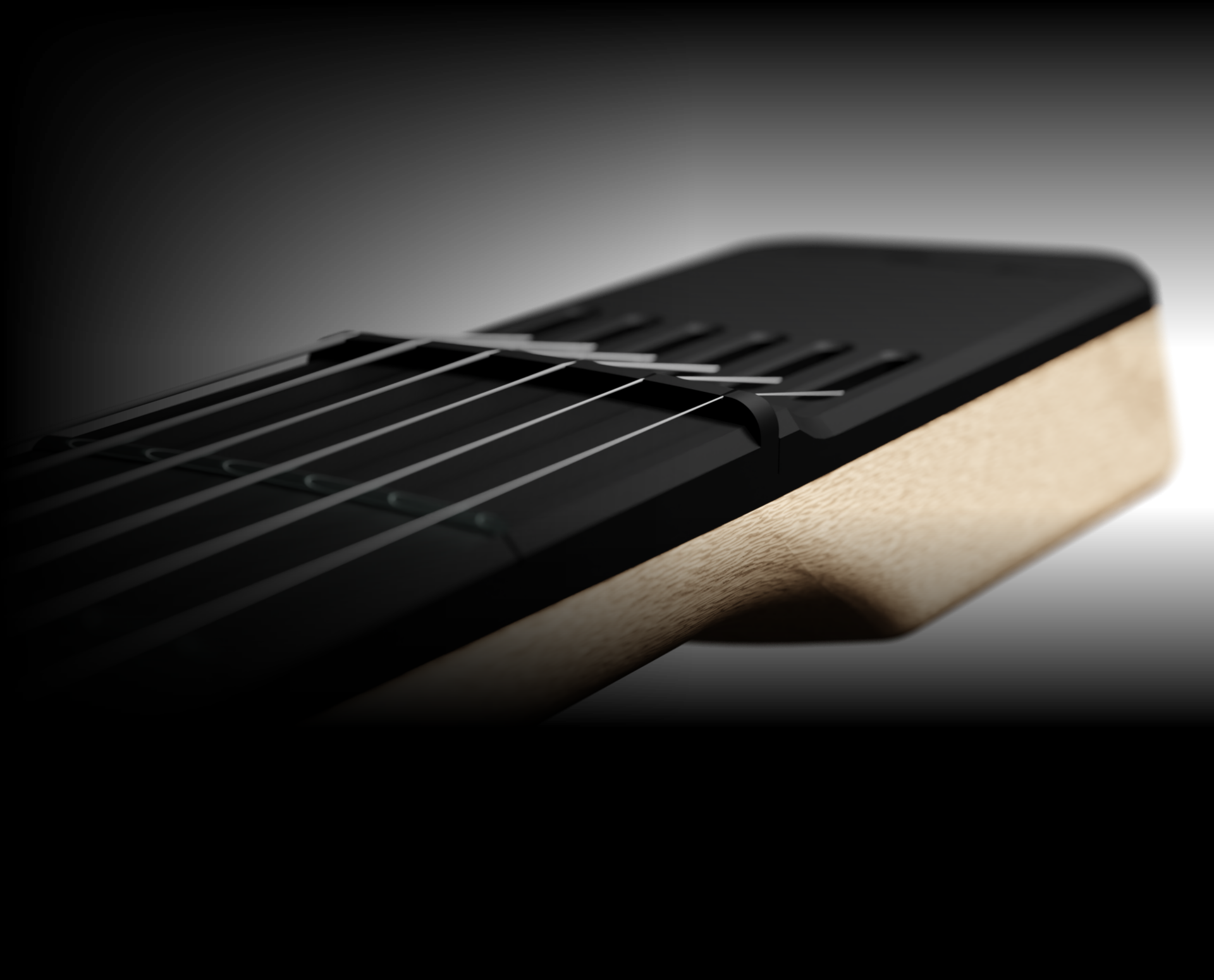 Denny's Guitars MK2 Series